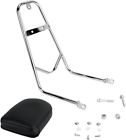 291-301 Mc Enterprises Sissy Bar