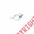 Tr-400571 4836816 Fat Baggers Inc Removable Trunk Mounts Chrome