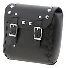 Sbb-03 Eagle Leather Sissy Bar Bag