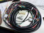 Vt32-7619 Wireing Xlh 1975-1976 Main Harness