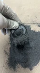 Iron Metal Powder 1 Pound Bag Great For Magnet Experiments & Fertilizer Additive. Fixed Price $19.98.