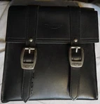 Triumph Leather Sissy Bar Bag Motorcyle. Fixed Price $71.96.