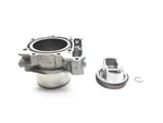 Engine Cylinder Jug W Piston Rear 2009 Can-am Spyder Gs Roadster SE5 3030A. Fixed Price $107.29.