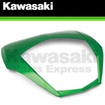 New 2017-2023 Genuine Kawasaki Kqr 47 Liter Top Case Candy Lime Green Trim 51PA. Fixed Price $101.32.