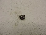 Kawasaki 1979 Engine Oil Drain Plug Moto Cross D27. Fixed Price $6.00.