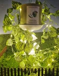 New 26 Bath & Body Works Snow Drop Dream Light Up Pedestal 3-WICK Candle Holder. Fixed Price $69.73.
