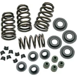 S&s 106-5909 Sidewinder .650" Valve Spring Kit Twin Cam 05-18 Sportster 04-20. Fixed Price $237.30.