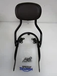 Triumph Bonneville T120 T100 Sissy Bar Brown Pad Mounting Kit A9758329 A2308919. Fixed Price $540.15.