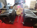 Willie And Max Slanted Saddle Bags Leather Nice. Fixed Price $85.00.