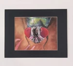 Original Colorful Fly 14 X 11 Pastel Paper Matted Art. Fixed Price $104.30.