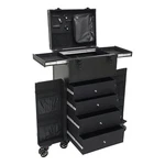 Max Load 30KG Rolling Makeup Case Organizer Travel Cosmetic Trolley. Fixed Price $196.56.