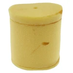 Suzuki Air Cleaner Filter, 13781-18A00. Fixed Price $31.00.