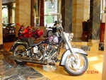Alligator Bob Harley Davidson Pera Gel Seat For Late 90S Softail. Fixed Price $799.00.