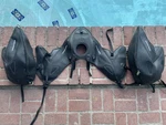 Ducati Performance Hypermotard Luggage Set With Bra Nos. Fixed Price $275.00.
