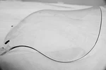 10" Clear Mutazu Aero Split Windshield Batwing Fits 94-13 Harley Touring. Fixed Price $79.00.