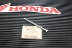 Nos Genuine Honda 1975-1979 GL1000 Shelter Hinge Pin Oem # 83109-371-000. Fixed Price $9.95.