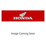 Honda 2012-2017 Goldwing Gl Left B197M Body 81411-MCA-S40ZA New Oem. Fixed Price $670.00.