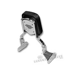 Passenger Backrest, Sissy Bar - Triumph Thunderbird 1600 1700 High Quality. Fixed Price $303.87.