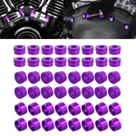 Purple Engine Bolt Caps Cover Kit For Harley Touring Sportster Dyna Fxdwg Fxdls. Fixed Price $34.20.