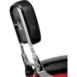 National Cycle Paladin Backrest P9800A. Fixed Price $161.96.