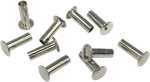 Drag Specialties Rivets (90967-64) 10-PACK S77-0147-ALV10. Fixed Price $7.51.