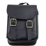 Willie Max Brass Monkey Sissybar Bag 59591-08. Fixed Price $71.41.
