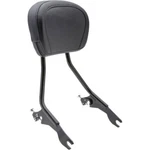 Cobra 602-2000B Detach Sissy Bar 09-22 Bagger. Fixed Price $340.00.